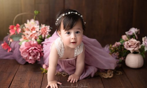 A sweet baby girl in a mauve dress crawling on wooden floor surrounded by pink flowers — Baby Portrait Photography Sydney by Blossom Brook Studio.