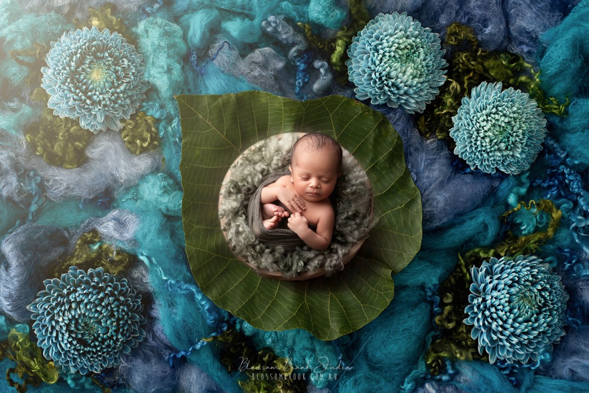 Newborn baby sleeping peacefully on a large green leaf surrounded by teal flowers during a botanical newborn photoshoot in Sydney by Blossom Brook Studio.