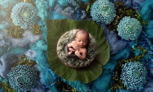 Newborn baby sleeping peacefully on a large green leaf surrounded by teal flowers during a botanical newborn photoshoot in Sydney by Blossom Brook Studio.