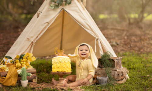 baby smash a cake in a park cake smash photo
