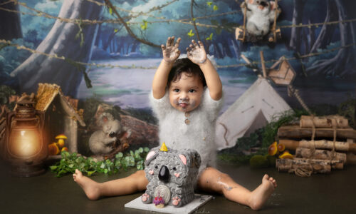 cake smash baby in koala costume hands up exicted