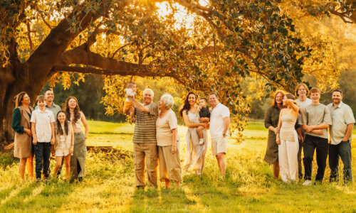 Large multi-generational family smiling under a big tree during a warm sunset outdoor family photoshoot Sydney.