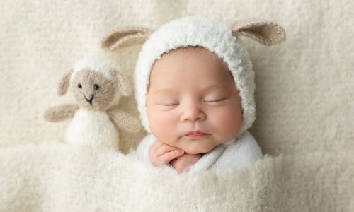 Newborn Photography Session - newborn baby in a lamb costume
