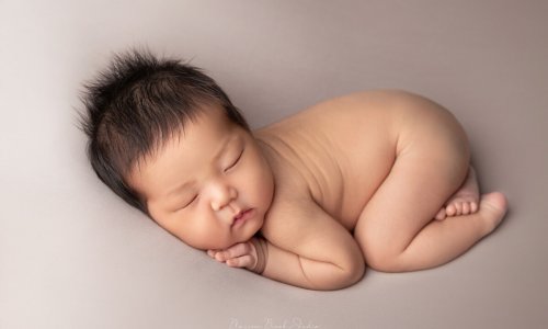 newborn photo sydney cute baby boy